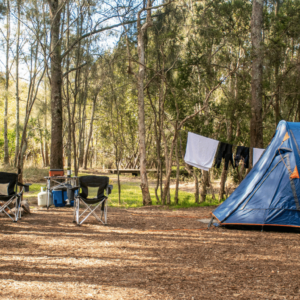 Scenic well-arranged campsite showcasing perfect campsite setup like the Campsite Setup Guide