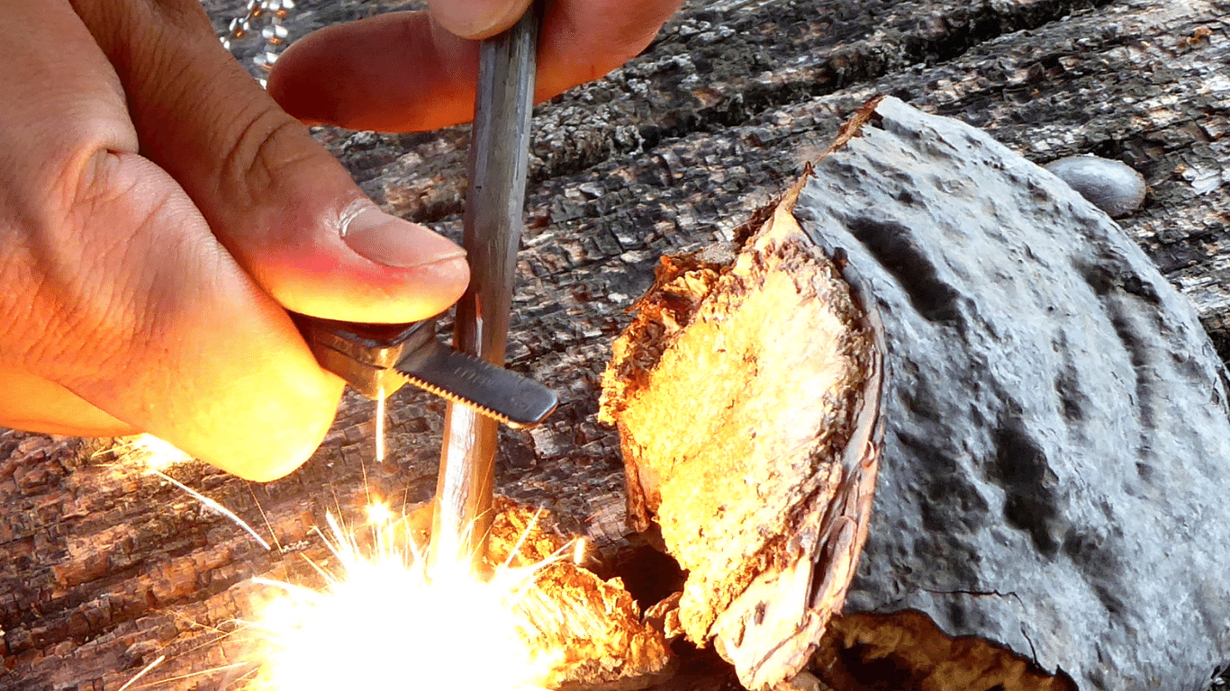 Ignite the Wild: 15 Resourceful Ways to Start a Fire Outdoors ...